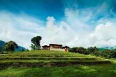 49312318-H1-Exterior_view_of_Uma_Punakha